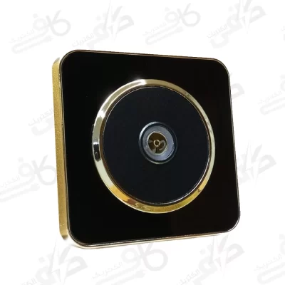 فیش انتن اسپیناس طلایی زه مشکی با میانی مشکی | آنتن TV