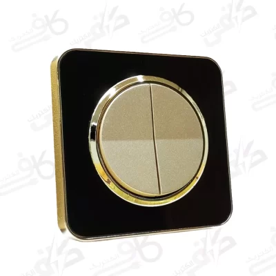 کلید دوپل اسپیناس طلایی زه مشکی با میانی بژ