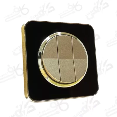 کلید سه پل اسپیناس طلایی زه مشکی با میانی بژ