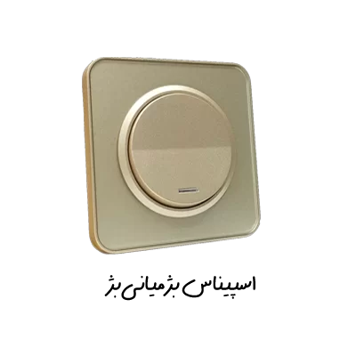 کلید پریز اسپیناس بژ ایران الکتریک